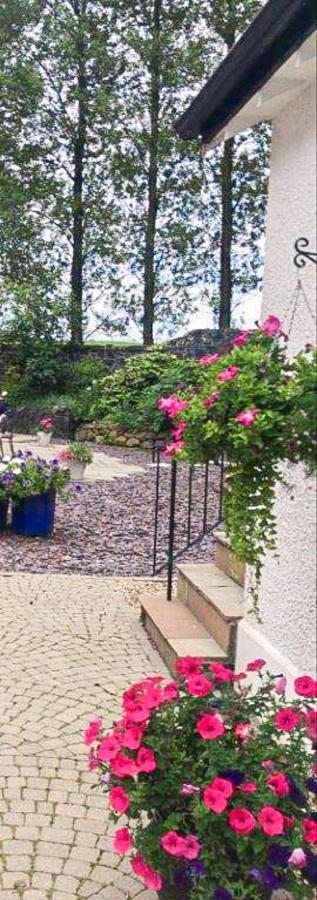 Blackberry Loft - A Hidden Gem Templepatrick Extérieur photo